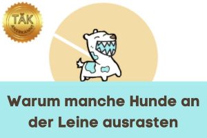 Warum manche Hunde an der Leine ausrasten - Laufzeit (min.): 44:44