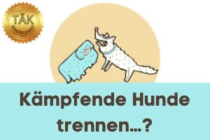 Kämpfe unter Hunden trennen - Laufzeit (min.): 67:29