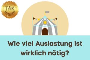 Auslastung beim Hund - Laufzeit (min.): 35:24