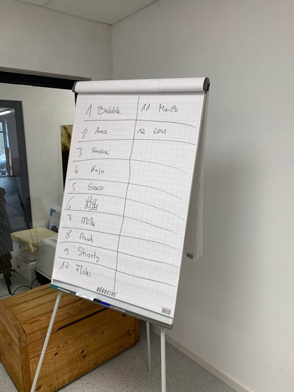 Seminar „Frustrationstoleranz und Impulskontrolle“ Maren Grote