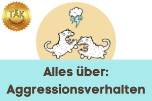 Aggressionsverhalten allgemein - Laufzeit (min.): 33:42