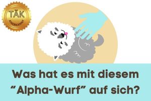 Was hat es mit diesem "Alpha-Wurf" auf sich? - Laufzeit (min.): 21:08