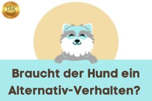 Alternativ-Verhalten anbieten?– Laufzeit (min): 10,57