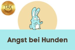 Angst allgemein - Laufzeit (min.): 33:16
