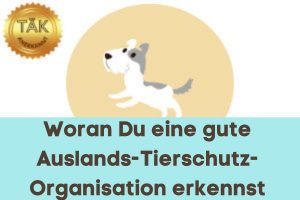 Wie Du eine gute Auslandstierschutz-Organisation findest – Laufzeit (min): 29:19