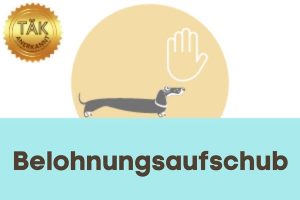 Belohnungsaufschub - Laufzeit (min.): 11:04 [Digital]