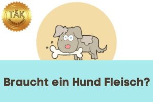 Braucht ein Hund Fleisch? - Laufzeit (min.): 26:03