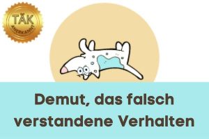 Demut, das falsch verstandene Verhalten - Laufzeit (min.): 27:43