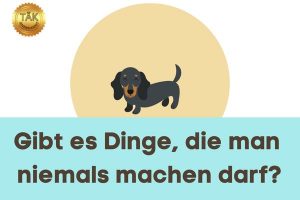 Gibt es Dinge, die man niemals machen darf?