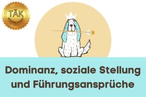Dominanz, soziale Stellungen und Führungsansprüche - Laufzeit (min.): 23:12 [Digital]
