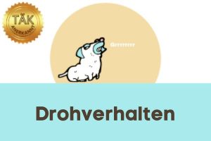 Drohverhalten - Laufzeit (min.): 39:29