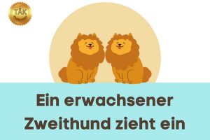 Ein erwachsener Zweithund zieht ein - Laufzeit (min.): 33:35