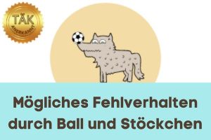 Mögliches Fehlverhalten durch Ballspiele - Laufzeit (min.): 26:39