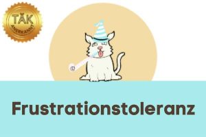 Frustrationstoleranz - Laufzeit (min.): 37:55 [Digital]