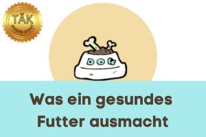Wie Du gesund füttern kannst - Laufzeit (min.): 26:28