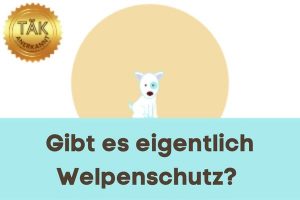 Gibt es eigentlich Welpenschutz? - Laufzeit (min.): 09:09 [Digital]