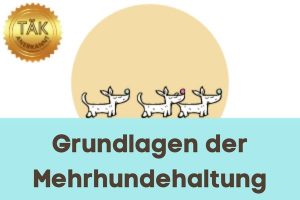 Grundlagen der Mehrhundehaltung - Laufzeit (min.): 32:29