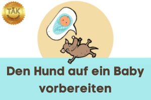 Den Hund auf ein Baby vorbereiten - Laufzeit (min): 20:09 [Digital]