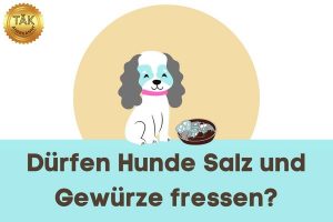 Dürfen Hunde Salz und Gewürze fressen? – Laufzeit (min): 9,43