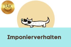 Imponieren - Laufzeit (min.): 33:11