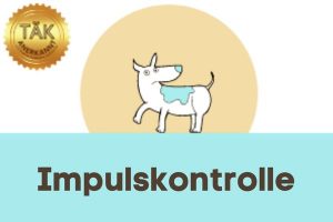 Impulskontrolle - Laufzeit (min.): 35:34 [Digital]