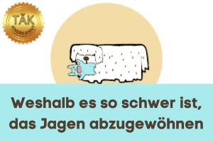 Weshalb es so schwer ist, Hunden das Jagen abzugewöhnen - Laufzeit (min.): 35:24