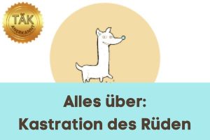 Kastration des Rüdens - Laufzeit (min.): 29:53
