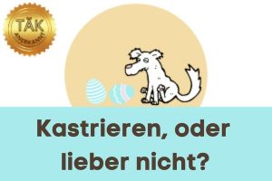 Kastrieren oder lieber nicht? - Laufzeit (min.): 12:06