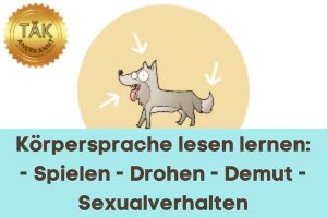Körpersprache lesen lernen - Laufzeit (Std.): 01:40 [Digital]