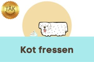 Kot fressen - Laufzeit (min.): 25:09