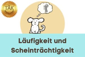 Läufigkeit - Laufzeit (min.): 23:43 [Digital]