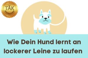 Wie Dein Hund lernt an lockerer Leine zu laufen - Laufzeit (min.): 33:05