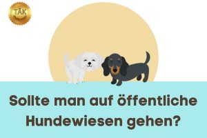 Sind öffentliche Hundewiesen empfehlenswert? - Laufzeit (min.): 23:23
