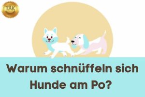 Warum schnuppern sich Hunde am Po? - Laufzeit (min): 7:53