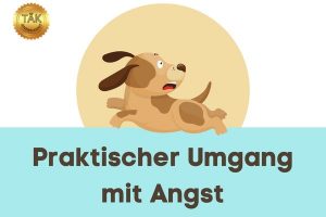 Praktischer Umgang mit Angst - Laufzeit (min.) 20:25