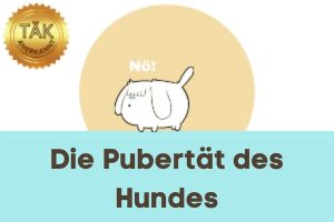 Die Pubertät des Hundes - Laufzeit (min.): 25:40