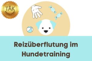 Reizüberflutung im Hundetraining - Laufzeit (min.): 24:19 [Digital]