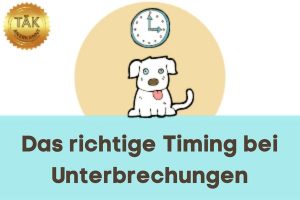 Das richtige Timing bei Unterbrechungen von Verhalten - Laufzeit (min): 46:57 [Digital]