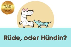 Rüde oder Hündin - Laufzeit (min.): 28:15
