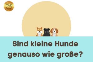 Sind kleine Hunde wie alle anderen Hunde? - Laufzeit (min.): 35:05