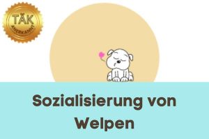 Sozialisierung von Welpen - Laufzeit (min.): 28:42