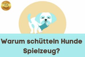 Warum schütteln Hunde Spielzeug? - Laufzeit (min): 5:58
