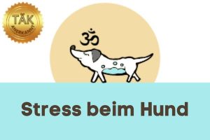 Stress beim Hund – Laufzeit (min.): 39:35 [Digital]