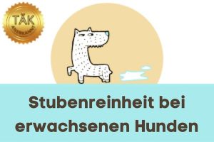 Stubenreinheit bei erwachsenen Hunden - Laufzeit (min.): 30:58