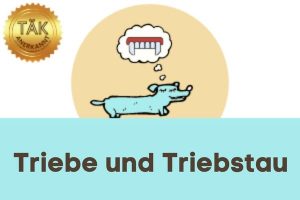 Triebe und Triebstau - Laufzeit (min.): 4:27