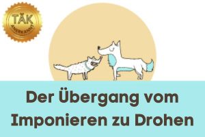 Der Übergang von Imponieren zu Drohen - Laufzeit (min.): 45:36