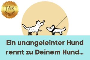 Was tun, wenn ein unangeleinter Hund zu Deinem Hund läuft? - Laufzeit (min.): 55:33