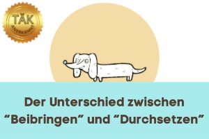 Der Unterschied zwischen "Beibringen" und "Durchsetzen von Beigebrachtem" - Laufzeit (min.): 35:05 [Digital]