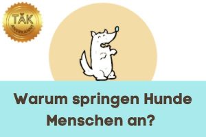 Warum springen Hunde an? - Laufzeit (min.): 13:06 [Digital]