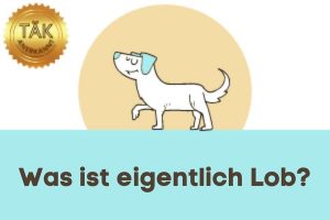 Was ist eigentlich Lob? - Laufzeit (min.): 34:34 [Digital]